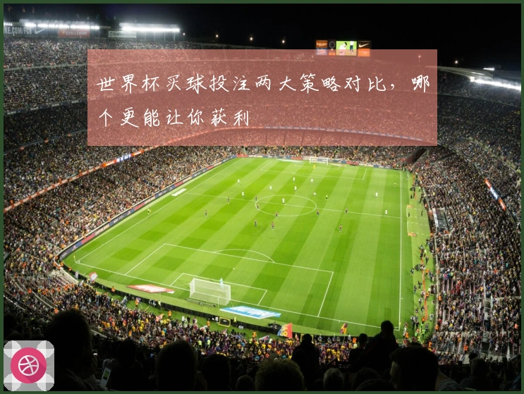 世界杯买球投注两大策略对比，哪个更能让你获利