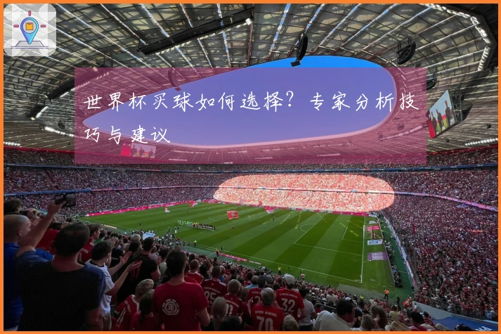 世界杯买球如何选择？专家分析技巧与建议