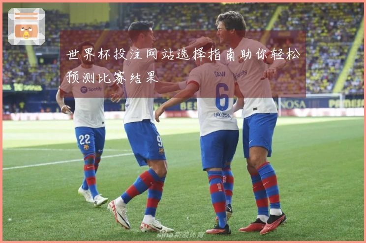 世界杯投注网站选择指南助你轻松预测比赛结果