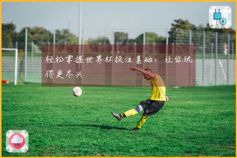 轻松掌握世界杯投注基础，让你玩得更尽兴