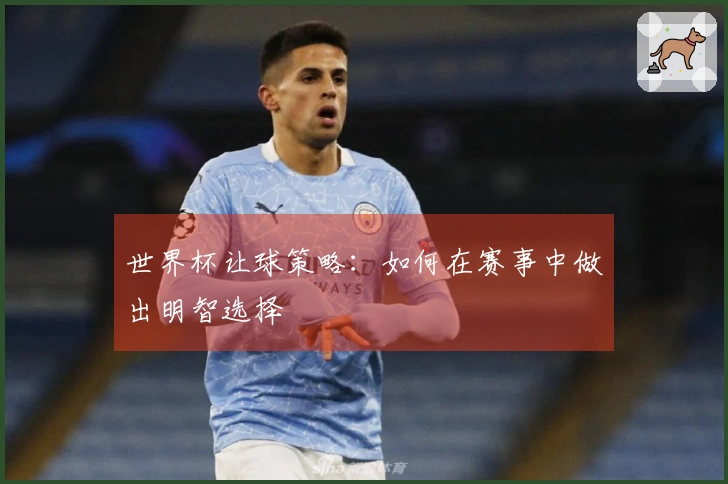 世界杯让球策略：如何在赛事中做出明智选择