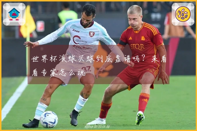 世界杯滚球买球到底靠谱吗？来看看专家怎么说