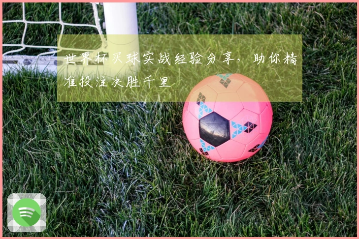 世界杯买球实战经验分享，助你精准投注决胜千里