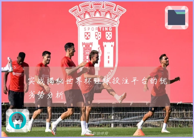 实战揭秘世界杯让球投注平台的优劣势分析