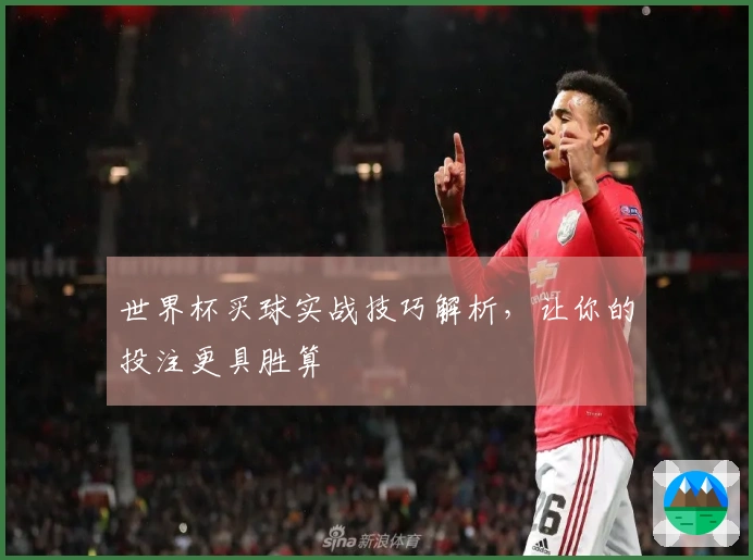 世界杯买球实战技巧解析，让你的投注更具胜算