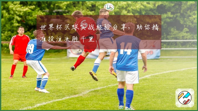 世界杯买球实战经验分享，助你精准投注决胜千里