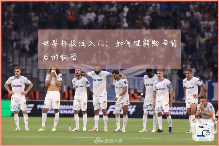 世界杯投注入门：如何理解赔率背后的秘密
